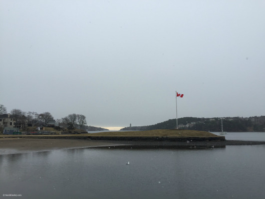 Northwest Arm in the snow