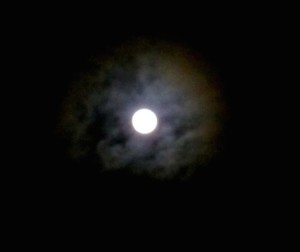 Full Moon 1