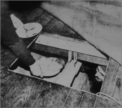 In hiding under the floor (not the Maas' farm) Source: dedokwerk.nl