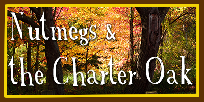CT_Banner