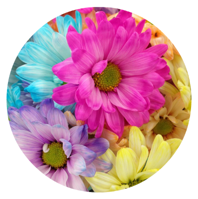 flowersnip