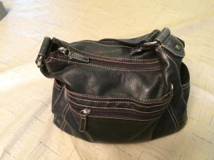 GaylePurse