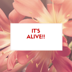 IT'S ALIVE!!-2