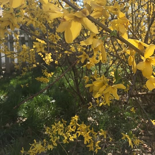 happy spring!