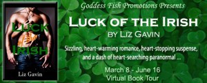 FSVBT_LuckOfTheIrish_Banner copy