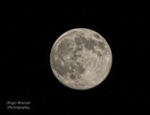 moon 2 small edit