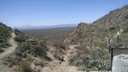 IMG_20160316_121740352