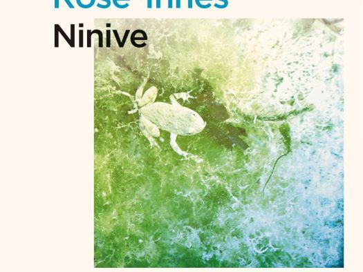 Ninive French cover