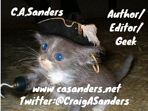 casanders pirate kitten