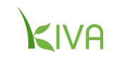 Kiva