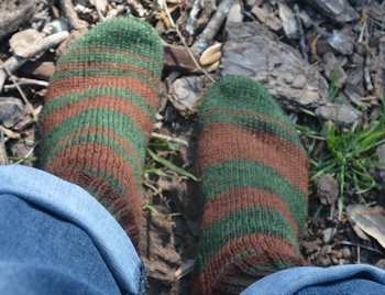 Brown-green-socks1-03-21-16