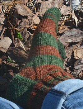 Brown-green-sock-R