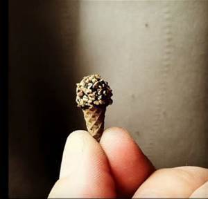 small cone