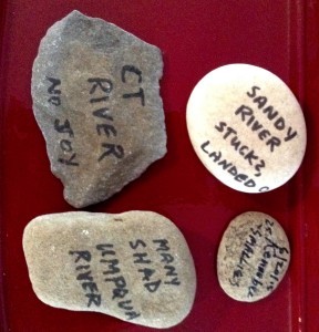 Rocks