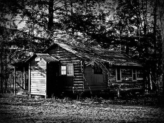 Melissa Dog Wolf Lover Martin S Review Of Dark Winter The