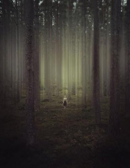 Melissa Dog Wolf Lover Martin S Review Of Dark Winter The