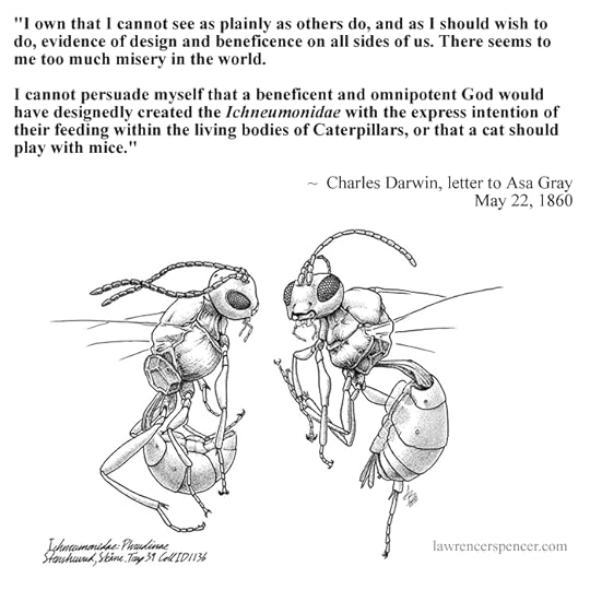 ichneumonidae__phrudinae