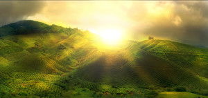 Spring-Rising-Sun