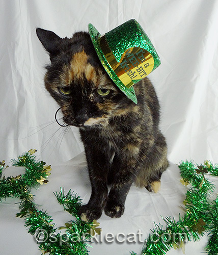 tortoiseshell cat wearing St. Patrick's Day hat and hating it