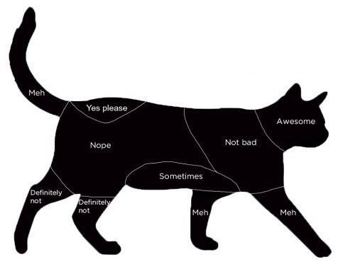 cat-petting-locations