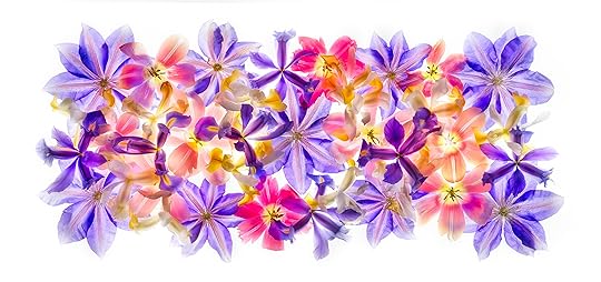 Painting with Flowers © Harold Davis