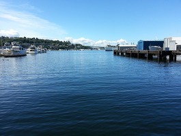 Lake Union