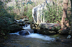  photo dismal gorge trail_zps2hbnmbbi.jpg