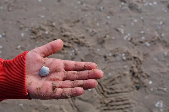 Kinderhand mit Muschel