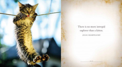 cat-quotes
