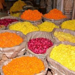 Radhanath Swami at Pushya Abhishek2016 (5)