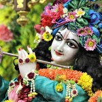 Radhanath Swami at Pushya Abhishek2016 (22)