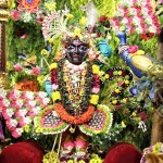 Radhanath Swami at Pushya Abhishek2016 (23)