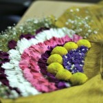 Radhanath Swami at Pushya Abhishek2016 (4)