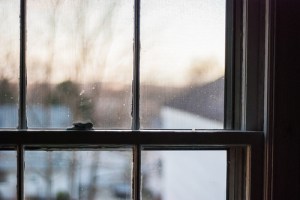 photo credit: Goodyear-7584 via photopin (license)