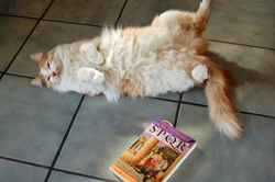 I'm Adorable! Put the book DOWN!
