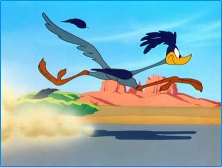  photo road-runner-1_zpsu7wmpptn.jpg