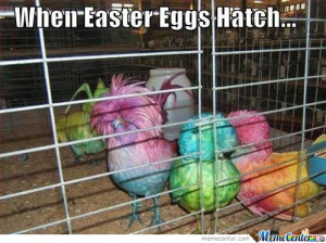 when-easter-eggs-hatch_o_260108