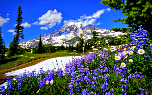 Exceptional2