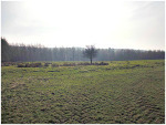 Standrise Earth Circle/Enclosure, near Carlton-in-Craven.