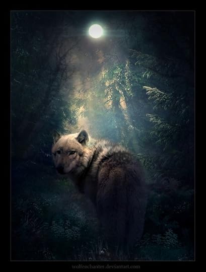 the wolf under the full moon: 
