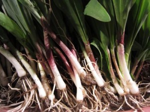 ramps