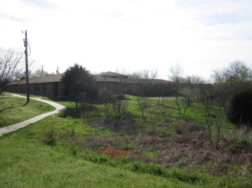 View from the Pagoda
