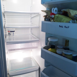 empty fridge mar 34
