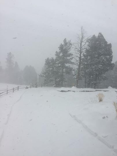 Spring Storm, Divide CO, photo by Terry Odell
