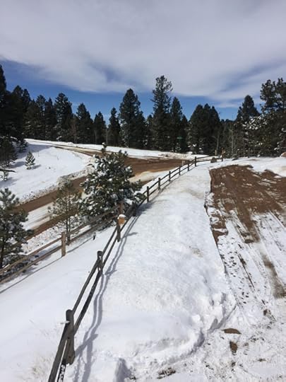 The day after the storm