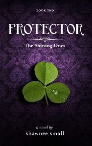 protector_kindle_fullsize