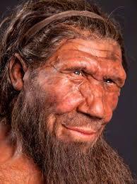 Image result for neanderthal dna