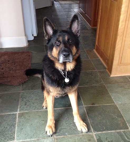Magic sitting in kitchen