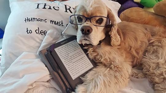 KellyLadouceur-Kermit-ReadingShow-Tell