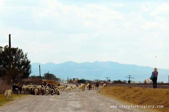 IMG_0662rvwatermarked